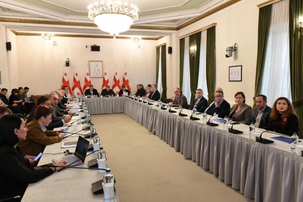 დავით ნარმანიამ პარლამენტში სემეკის 2025 წლის საქმიანობის ანგარიში წარადგინა