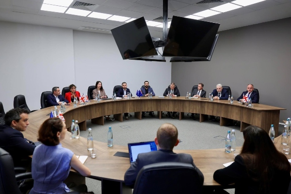 დავით ნარმანია მსოფლიო ბანკის ESPIRE მისიის წარმომადგენლებს შეხვდა