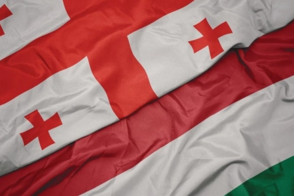 უნგრეთი საქართველოს მოქალაქეებისთვის სამუშაო ვიზების გაცემას აჩერებს