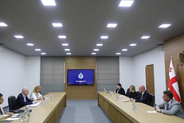 შინაგან საქმეთა მინისტრის მოადგილე ალან მიჩელს შეხვდა