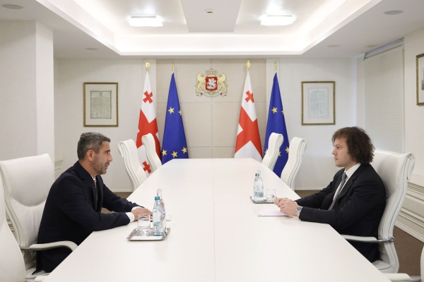 პრემიერ-მინისტრი ნატოსთან საქართველოს ახლად დანიშნულ წარმომადგენელ ირაკლი ბერაიასა და კატარის სახელმწიფოში საქართველოს ახლად დანიშნულ ელჩს ვარლამ ავალიანს შეხვდა