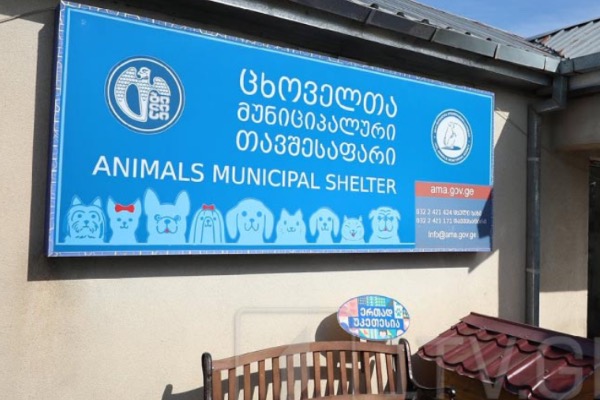 მოქალაქეთა ჯგუფი ცხოველთა თავშესაფარში შეიჭრა, ​გამოიყვანეს დაავადებული ძაღლები - თბილისის მერია