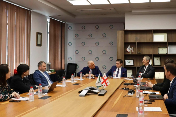 სემეკში განხორციელებული ტვინინგის პროექტები საერთაშორისო ექსპერტებმა დადებითად შეაფასეს