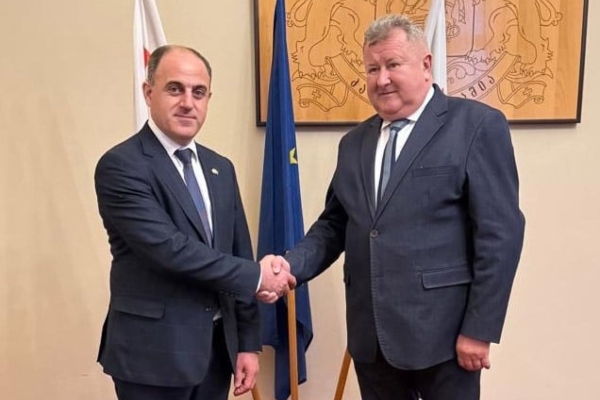 დავით ნარმანია სლოვაკეთის მარეგულირებელი უწყებისა და ეკონომიკის სამინისტროს ხელმძღვანელ პირებს შეხვდა