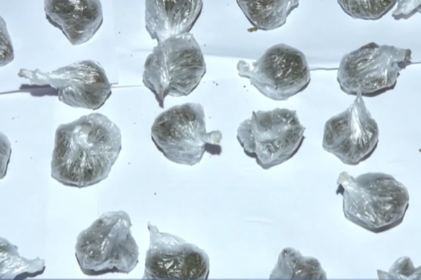 პოლიციამ ქვემო ქართლში ნარკოდანაშაულის ბრალდებით 3 პირი დააკავა