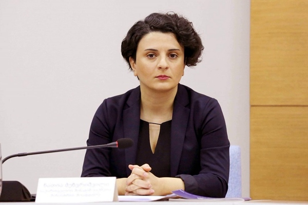 გახარიას პარტიის თავმჯდომარის მოადგილის ქონებრივი დეკლარაცია