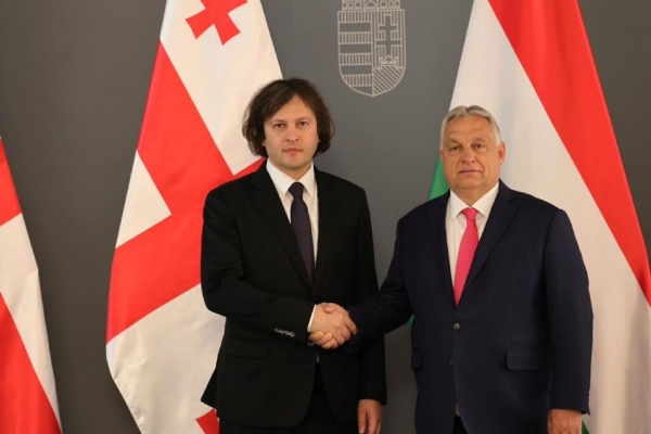 ირაკლი კობახიძე ვიქტორ ორბანს შეხვდა
