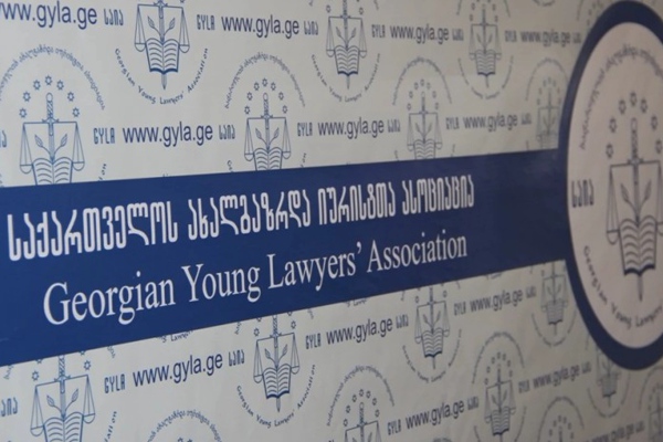 მზია ამაღლობელს სისტემა სჯის მისი საქმიანობის გამო, პოლიტიკური მოტივებით - საია